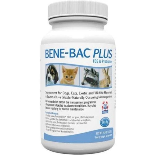 Pet Ag Bene Bac Plus Powder Fos Prebiotic and Probiotic for Dogs, Cats, Exotic and Wildlife Mammals Pet Ag Bene Bac Plus Powder Fos Prebiotic and Probiotic for Dogs, Cats, Exotic and Wildlife Mammals