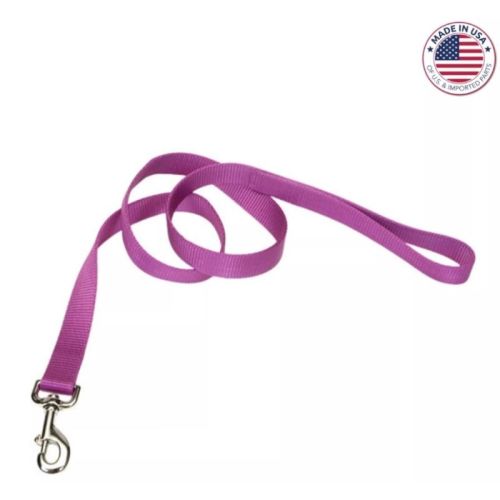 Coastal Pet Single Ply Nylon Dog Leash